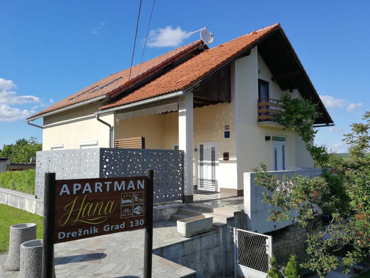 Apartman Hana Apartment Dreznik Grad Bagian luar foto