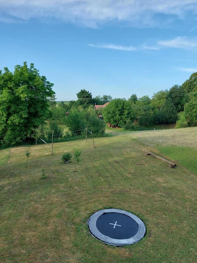 Apartman Hana Apartment Dreznik Grad Bagian luar foto