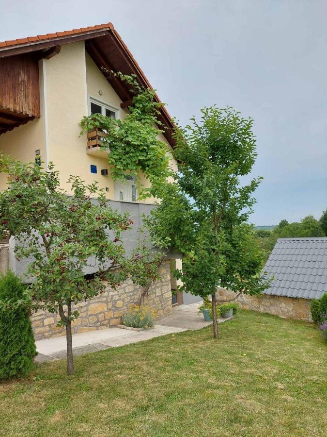 Apartman Hana Apartment Dreznik Grad Bagian luar foto