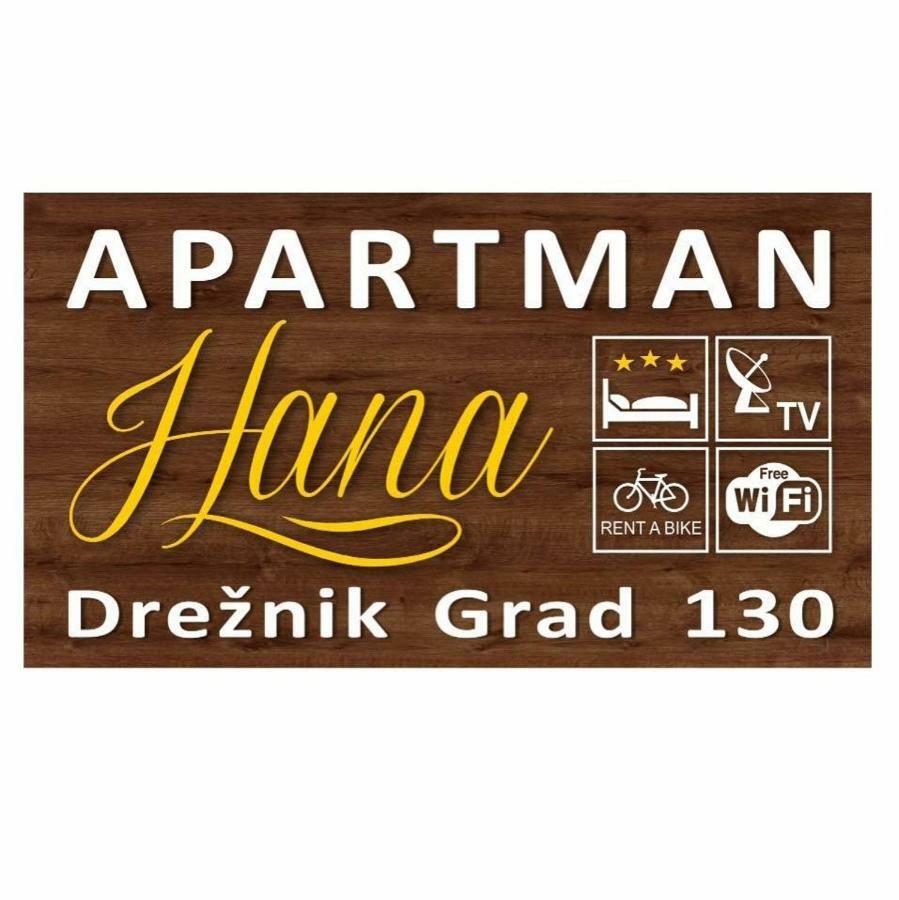 Apartman Hana Apartment Dreznik Grad Bagian luar foto